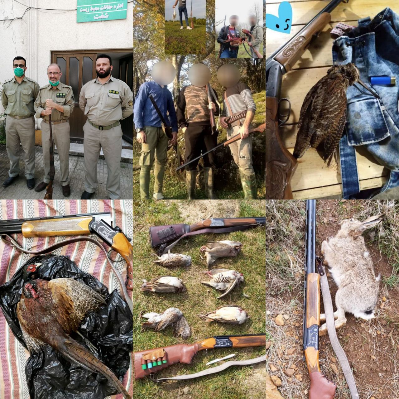 جریمه نقدی شکار چیان متخلف در شفت