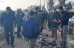 ممنوعیت خرید و فروش پرندگان وحشی در بازارهای محلی شفت