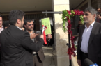 کاشت نهال به دستان دانش آموزان گیلانی