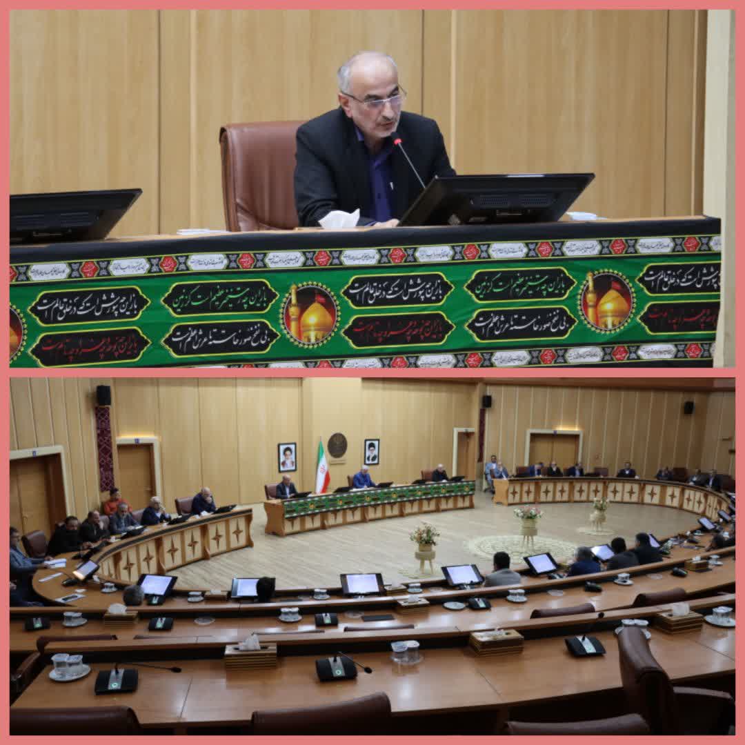 اقدامات نظارتی مشکلات حوزه مرغ گرم را به حداقل رسانده است