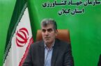 ظرفیت تولید ۵ میلیون تنی محصولات کشاورزی در گیلان