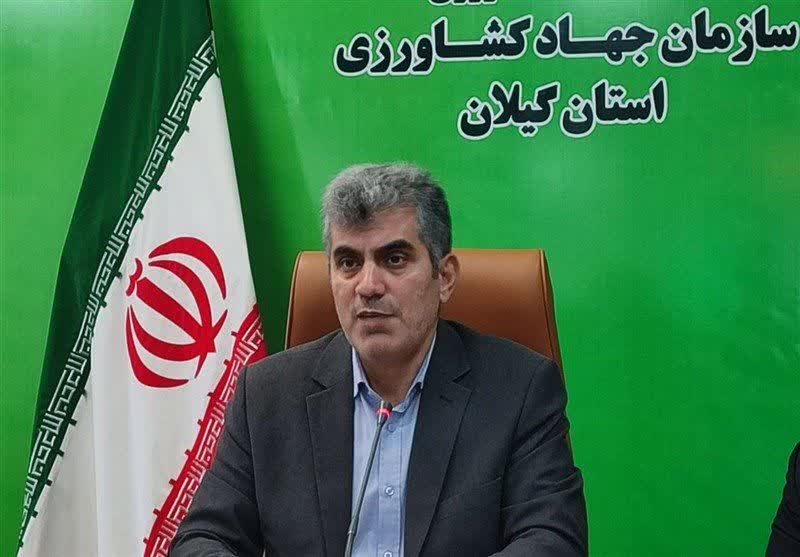 ظرفیت تولید ۵ میلیون تنی محصولات کشاورزی در گیلان