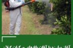 آغاز مبارزه با آفات باغ های مرکبات گیلان