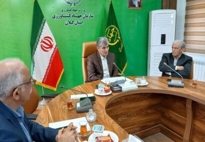 طی سال های اخیر شاهد دو برابر شدن سطح زیر کشت گیاهان دارویی در استان هستیم طی سال های اخیر شاهد دو برابر شدن سطح زیر کشت گیاهان دارویی در استان هستیم