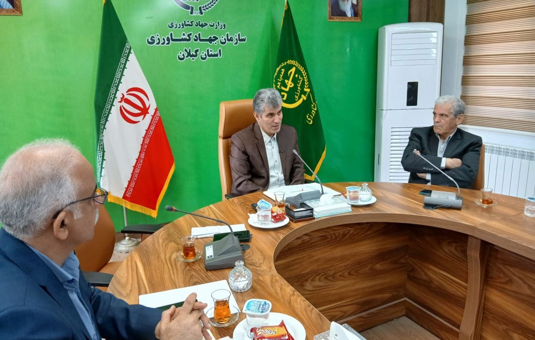 طی سال های اخیر شاهد دو برابر شدن سطح زیر کشت گیاهان دارویی در استان هستیم