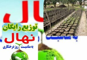 توزیع رایگان یک میلیون ودویست هزار نهال در بین مردم