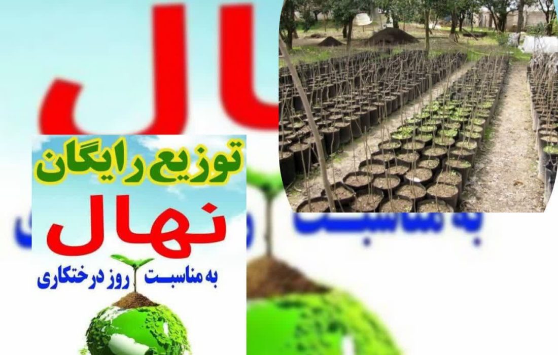 توزیع رایگان یک میلیون ودویست هزار نهال در بین مردم