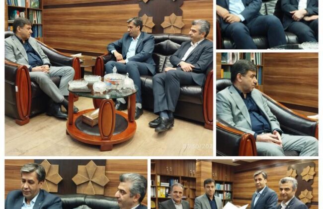 اجرای دقیق جی نف ، بستر سرشماری ۱۴۰۵ خواهد بود